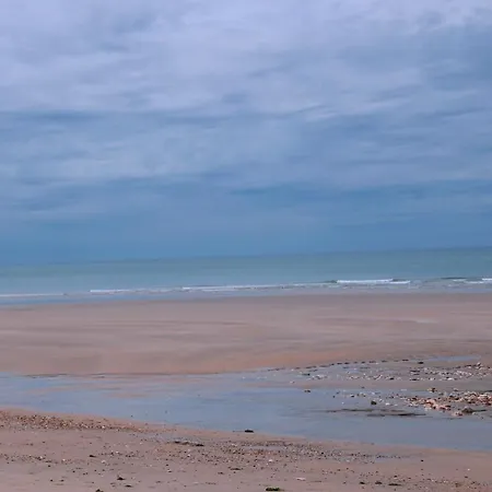 Situee Entre Mer Et Foret * Dolus d'Oléron